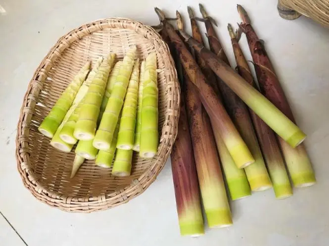 春笋白色的好还是黄色的好3