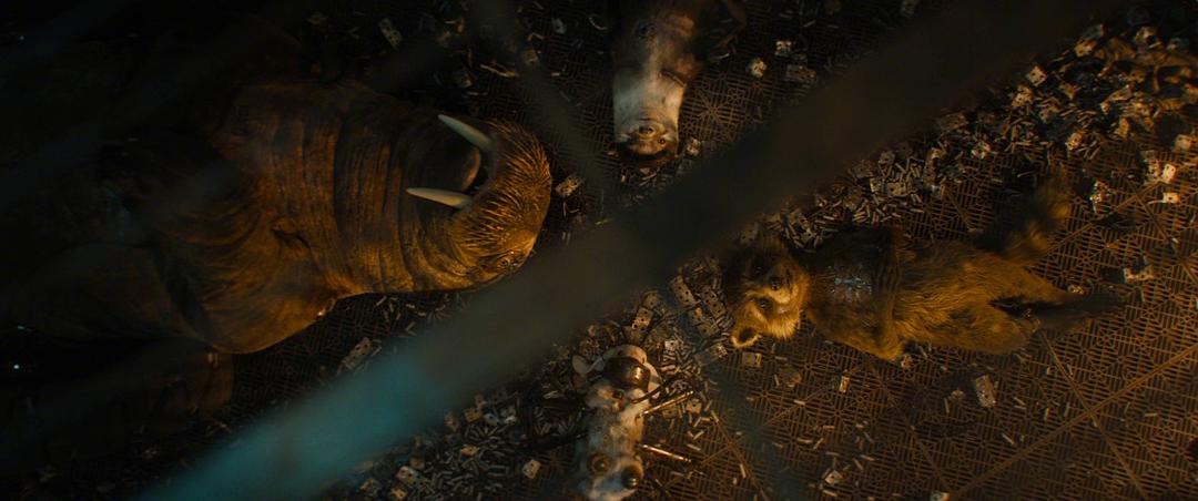 银河护卫队3(2023)的剧照 银河护卫队3(2023)的剧照