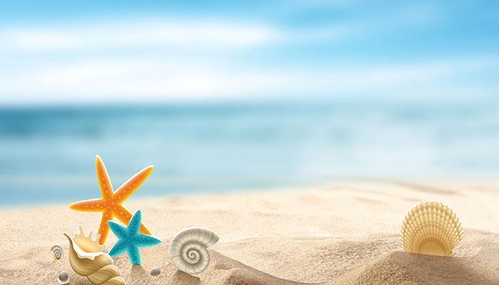 海星1.jpg 海星1.jpg