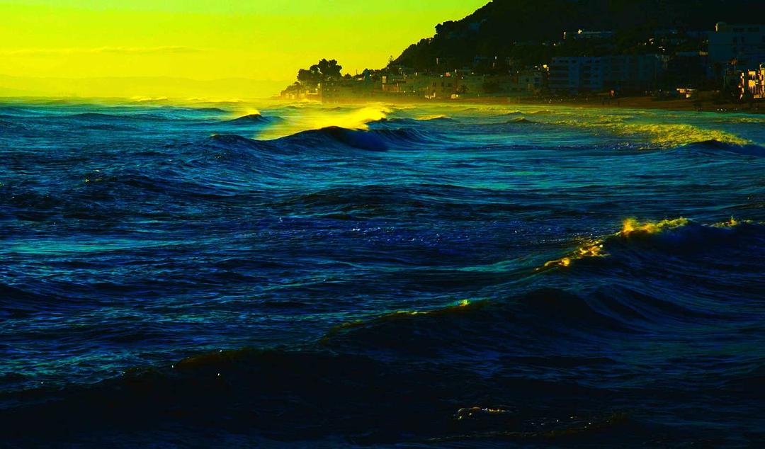 影像之书(2018)的剧照 影像之书(2018)的剧照