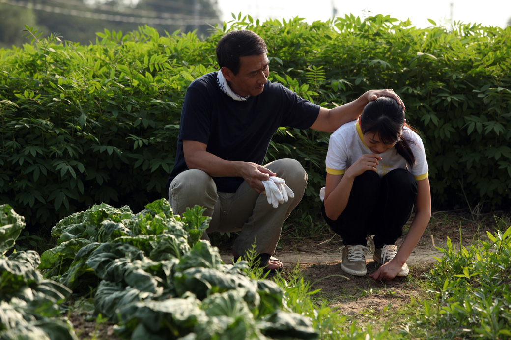 49岁成为电车司机的男人的故事(2010)的剧照 49岁成为电车司机的男人的故事(2010)的剧照