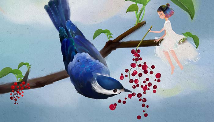 蓝知更鸟1.jpg 蓝知更鸟1.jpg