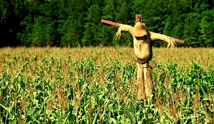 痛苦宝贝(2008)的剧照 痛苦宝贝(2008)的剧照