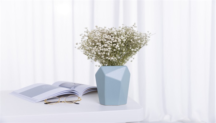 满天星怎么修剪 满天星的修剪方法