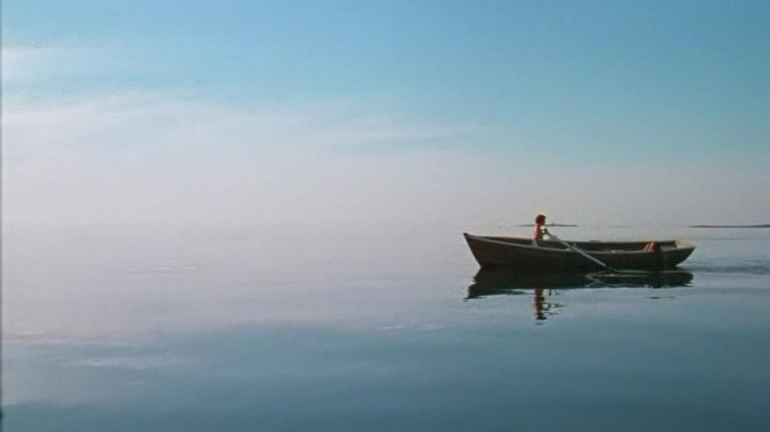 兄弟(2015)的剧照 兄弟(2015)的剧照