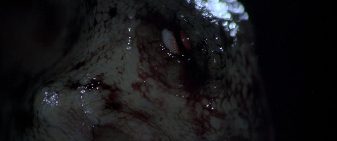 恐怖触须(1977)的剧照 恐怖触须(1977)的剧照