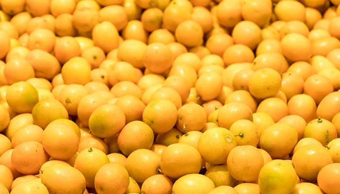 脐橙89.jpg 脐橙89.jpg