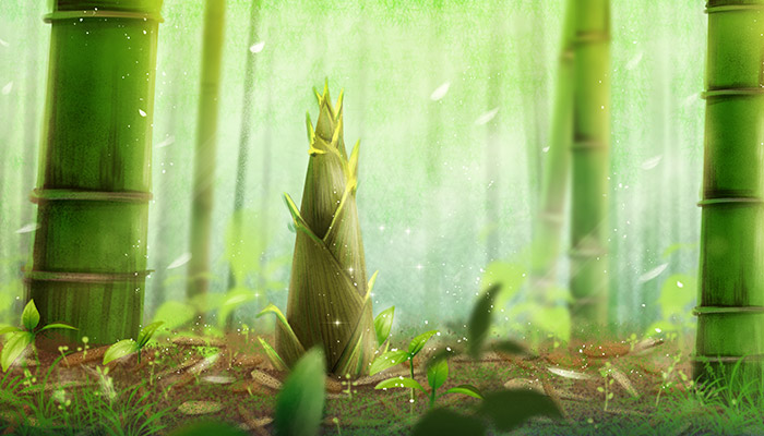 竹子15.jpg 竹子15.jpg