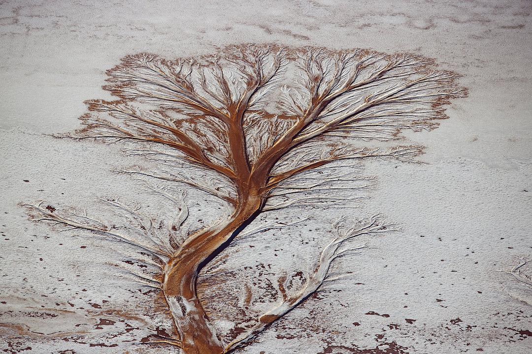 人类(2015)的剧照 人类(2015)的剧照