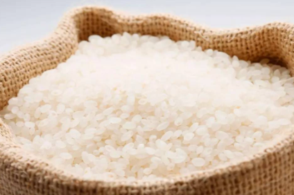 陈米会产生黄曲霉素吗4