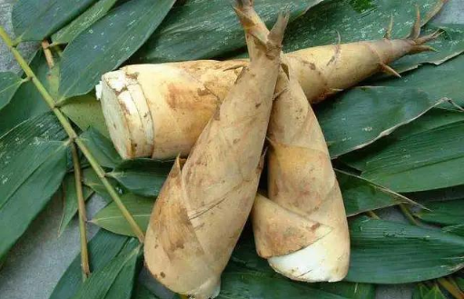 春笋放冰箱好还是放外面好2