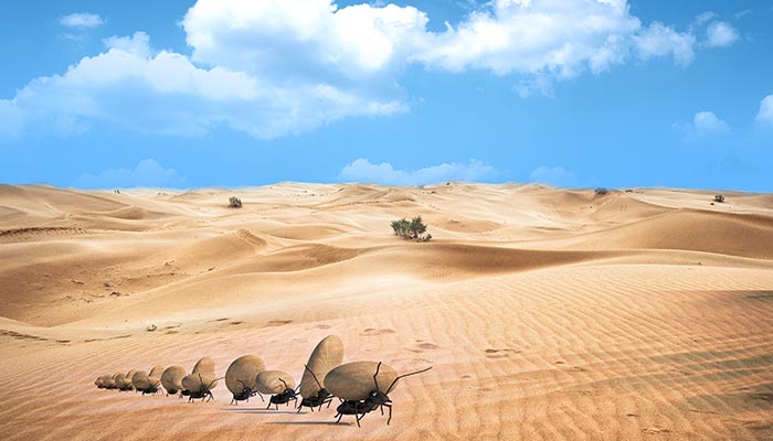 蚂蚁20.jpg 蚂蚁20.jpg