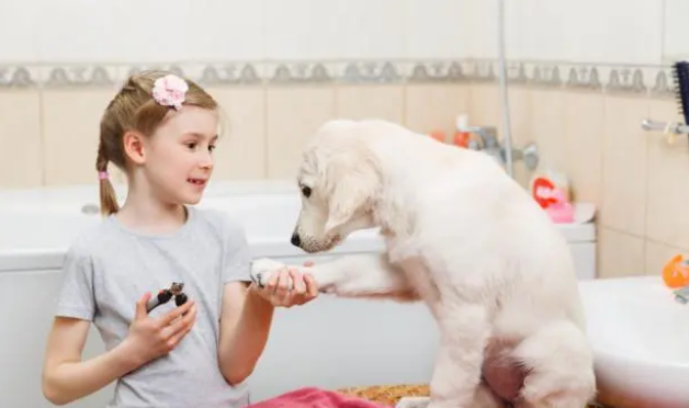 5个给狗狗洗澡的步骤,你都做到位了吗? 5个给狗狗洗澡的步骤,你都做到位了吗?