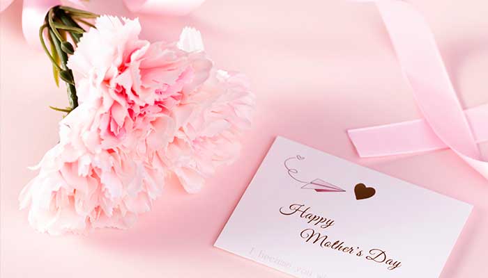 粉色康乃馨的花语 粉色康乃馨的花语是什么