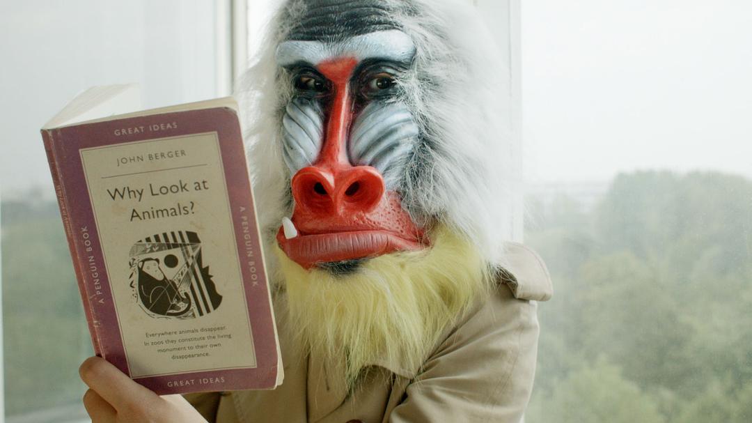 昆西四季(2016)的剧照 昆西四季(2016)的剧照