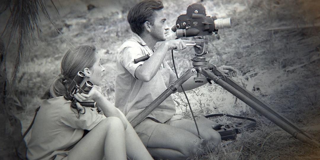 珍(2017)的剧照 珍(2017)的剧照