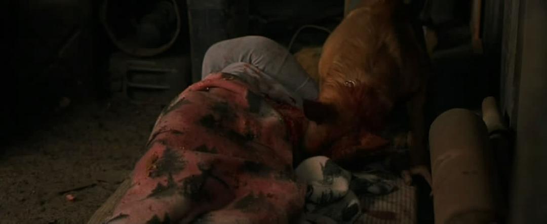 尸骨无存(2002)的剧照 尸骨无存(2002)的剧照