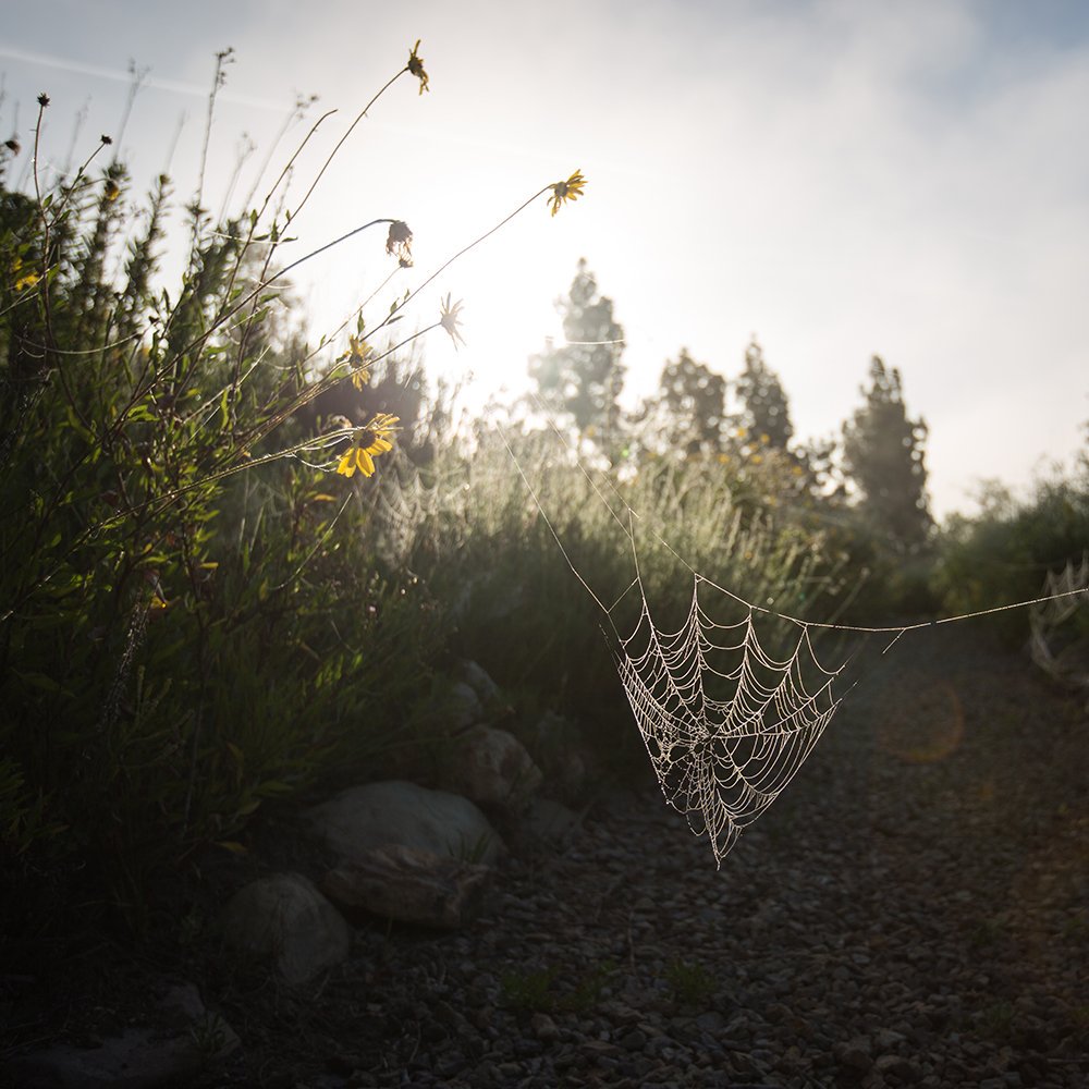 最大的小小农场(2018)的剧照 最大的小小农场(2018)的剧照