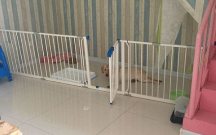 2023兔年3月哪几天适合安门2