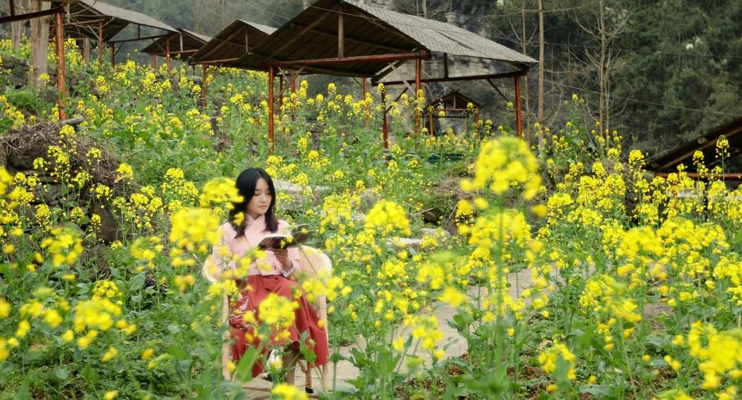 牧蜂姑娘
(2021)的剧照 牧蜂姑娘
(2021)的剧照