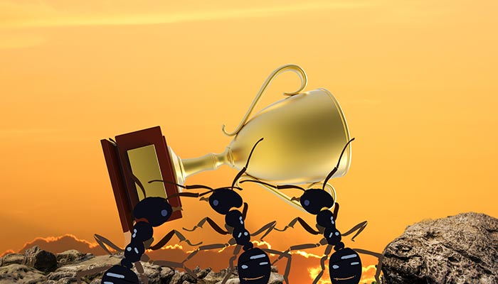 蚂蚁-14.jpg 蚂蚁-14.jpg