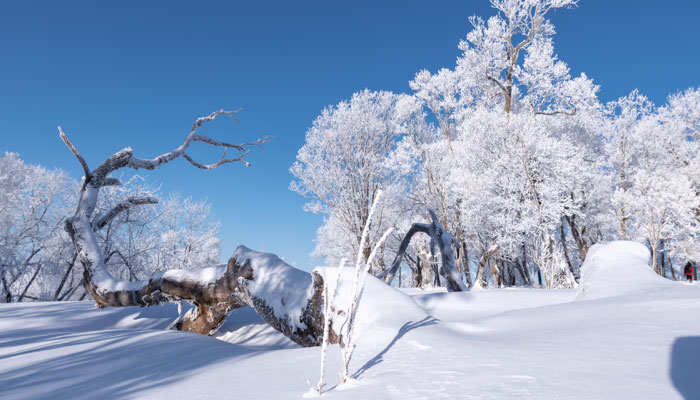 寒冬2.jpg 寒冬2.jpg