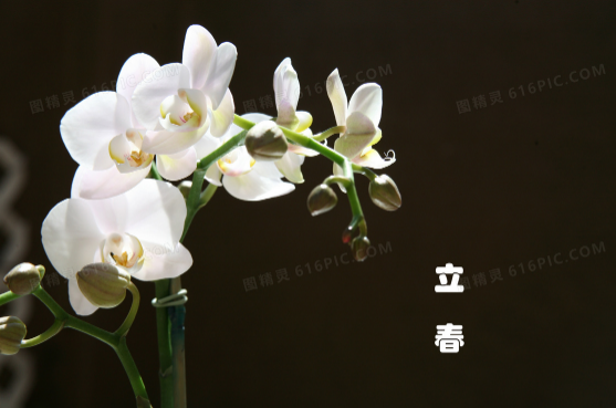 躲春是在立春当天躲还是头一天躲3