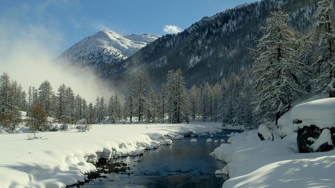 一位中国钢琴家与巴赫(2014)的剧照 一位中国钢琴家与巴赫(2014)的剧照