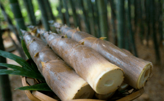 春笋焯水后怎么保存过夜2