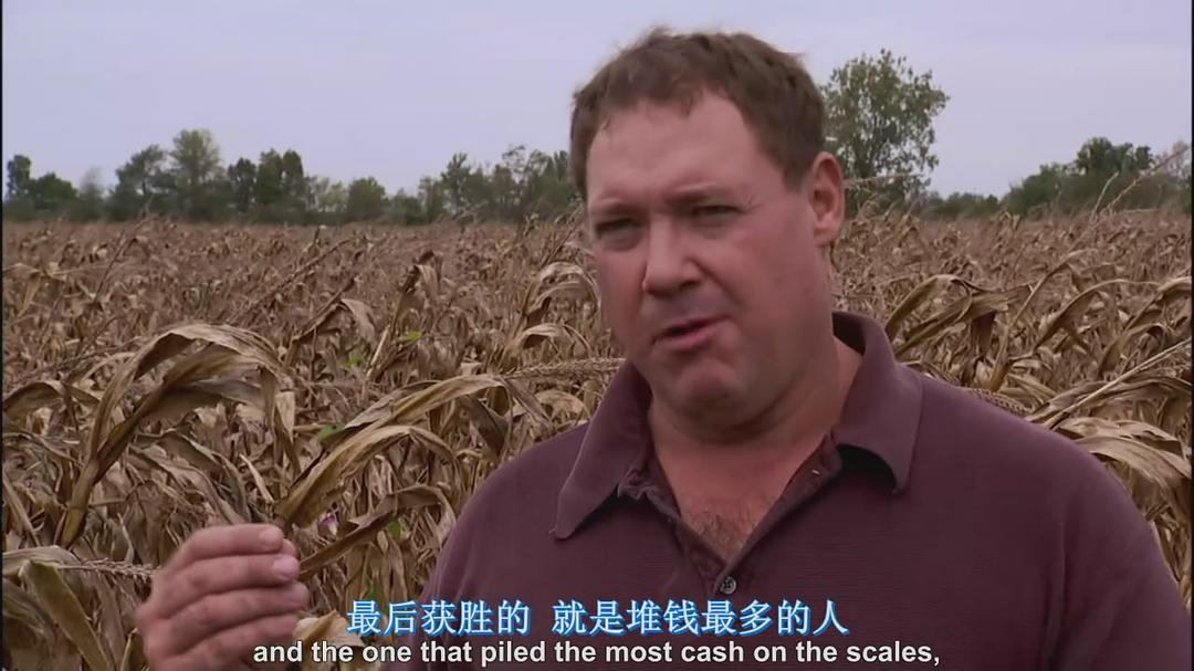 食品公司(2008)的剧照 食品公司(2008)的剧照