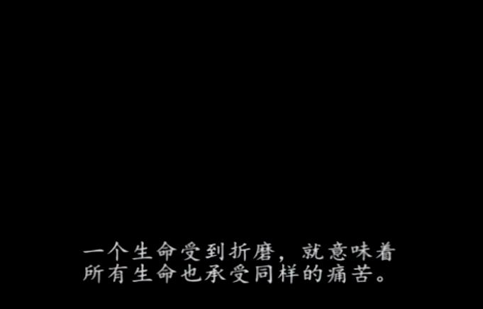 地球公民(2005)的剧照 地球公民(2005)的剧照