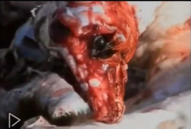 地球公民(2005)的剧照 地球公民(2005)的剧照