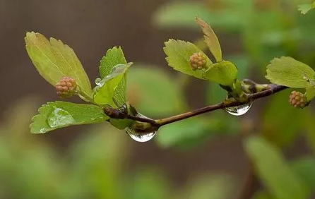 2023年长沙夏天雨水多吗2