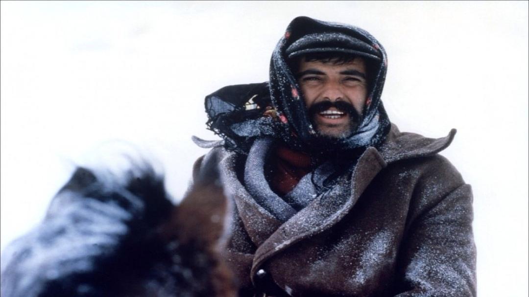 自由之路(1982)的剧照 自由之路(1982)的剧照