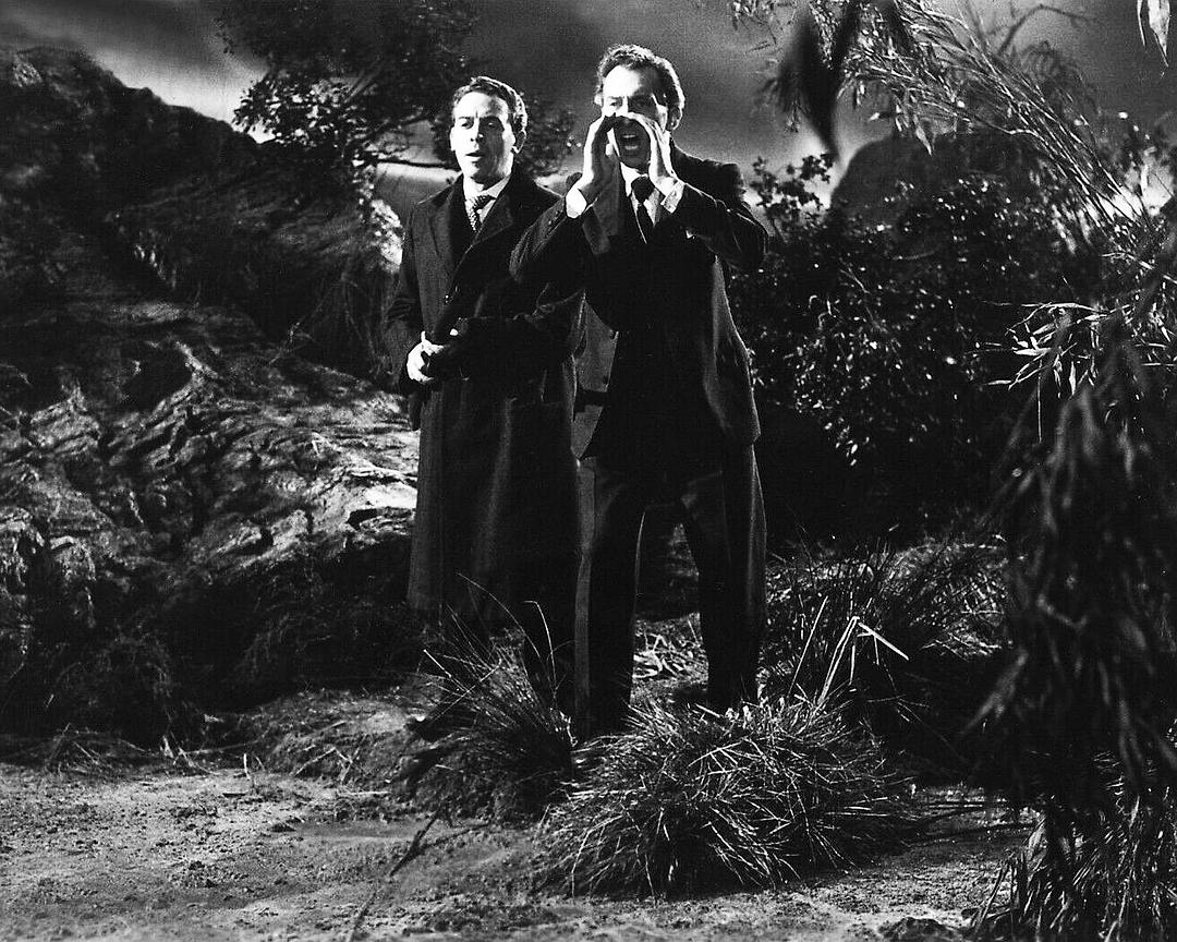 木乃伊(1959)的剧照 木乃伊(1959)的剧照