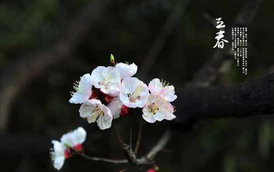 躲春是在立春当天躲还是头一天躲2