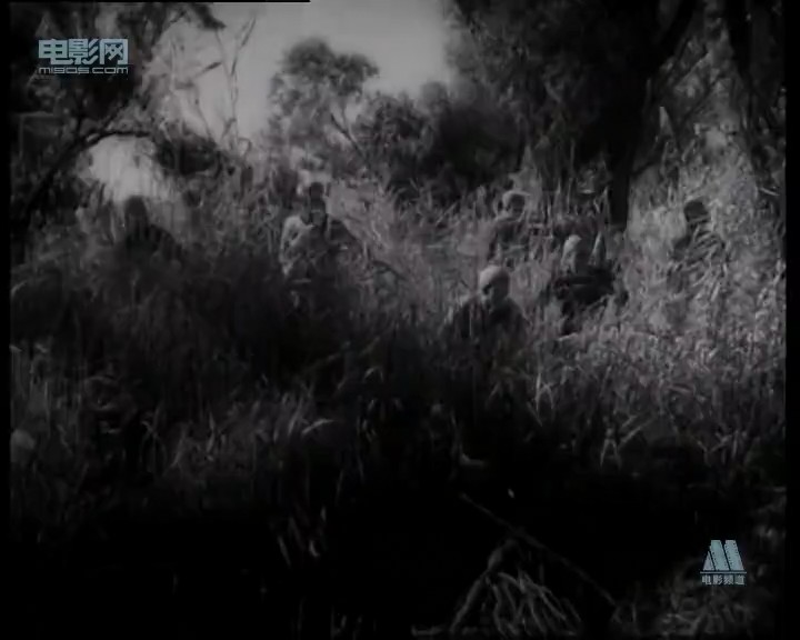 新儿女英雄传
(1951)的剧照 新儿女英雄传
(1951)的剧照