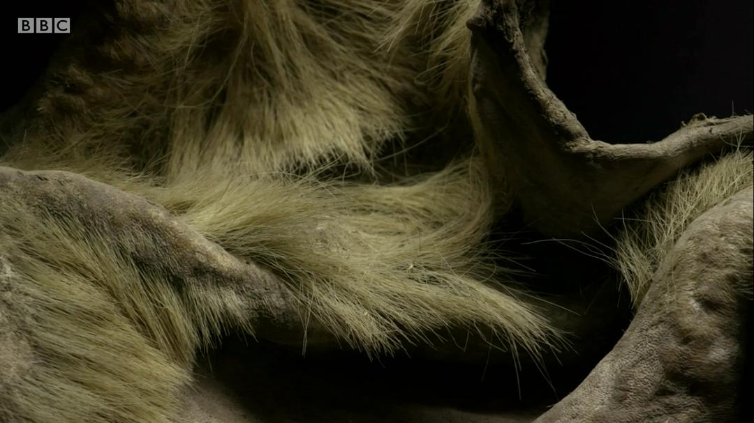 流浪者:追随布鲁斯·查特文的脚步(2019)的剧照 流浪者:追随布鲁斯·查特文的脚步(2019)的剧照