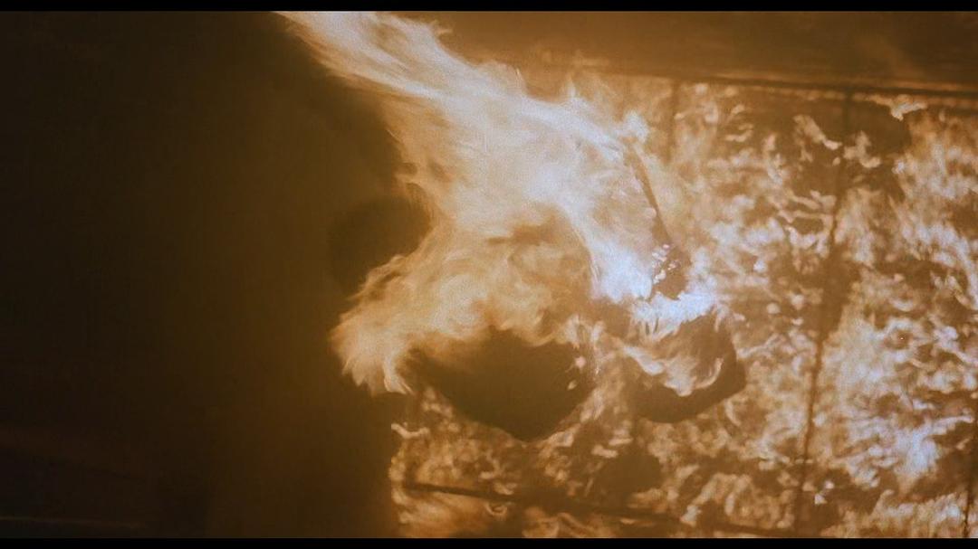 血衣天使
(1988)的剧照 血衣天使
(1988)的剧照