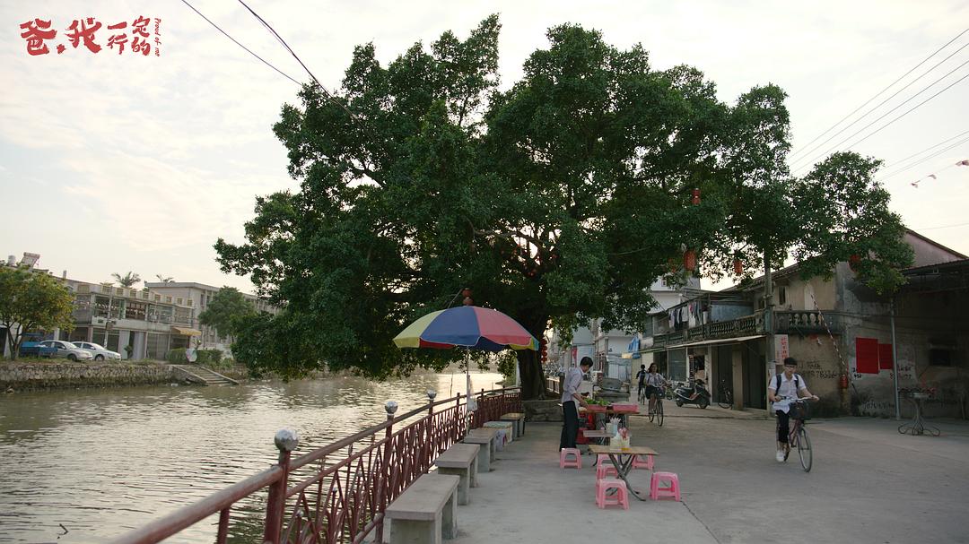 爸,我一定行的
(2018)的剧照 爸,我一定行的
(2018)的剧照