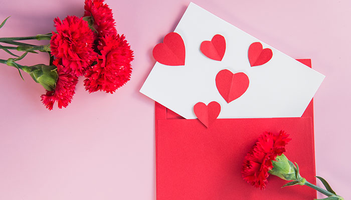 粉色康乃馨的花语 粉色康乃馨的花语是什么