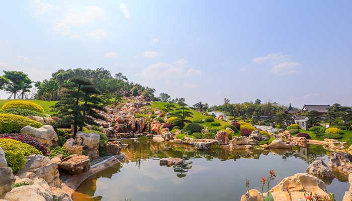 罗汉松施什么肥长得快 罗汉松怎么施肥长得快