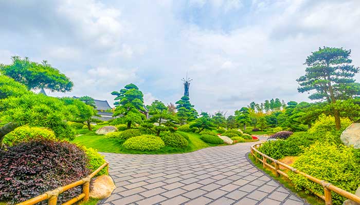 罗汉松施什么肥长得快 罗汉松怎么施肥长得快