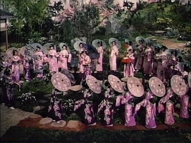 蝴蝶夫人(1954)的剧照 蝴蝶夫人(1954)的剧照