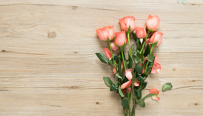 玫瑰花的花语 玫瑰花的花语是什么