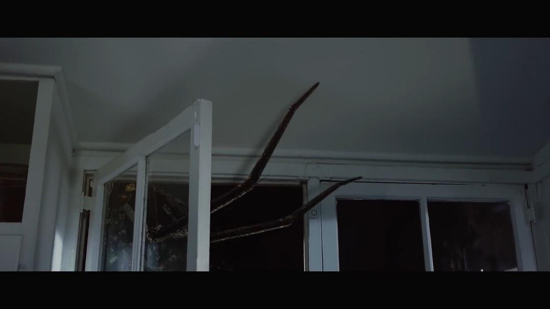 26种死法2.5:M号档案(2016)的剧照 26种死法2.5:M号档案(2016)的剧照