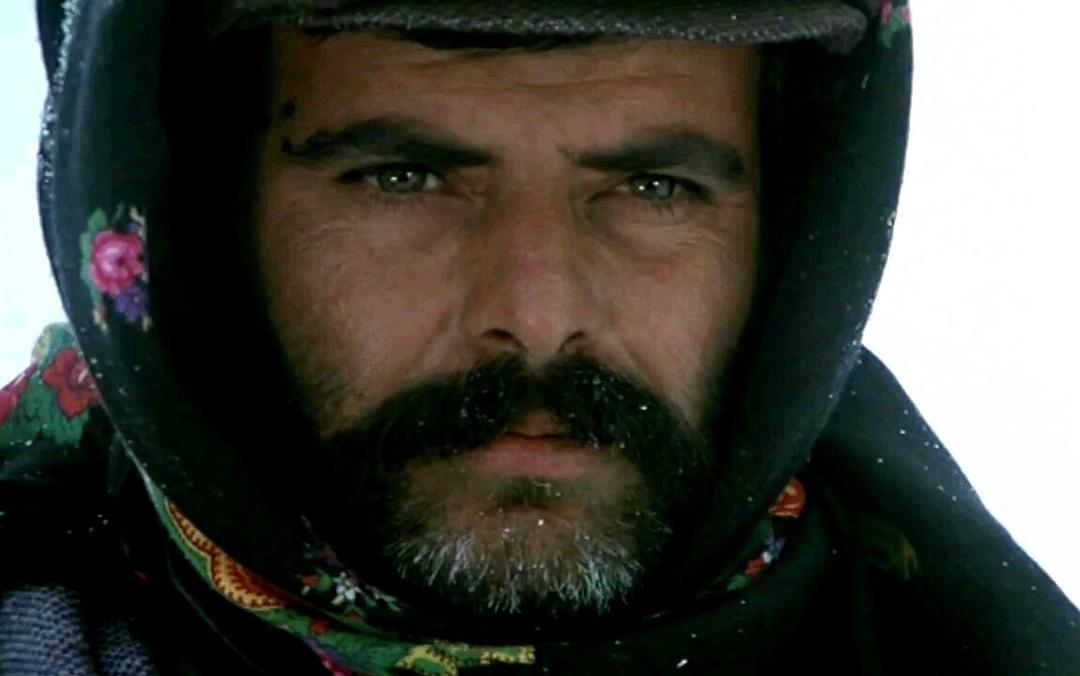 自由之路(1982)的剧照 自由之路(1982)的剧照