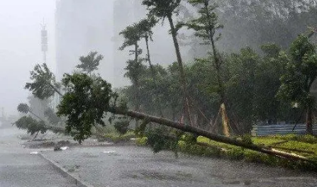 2023年台风会多吗3