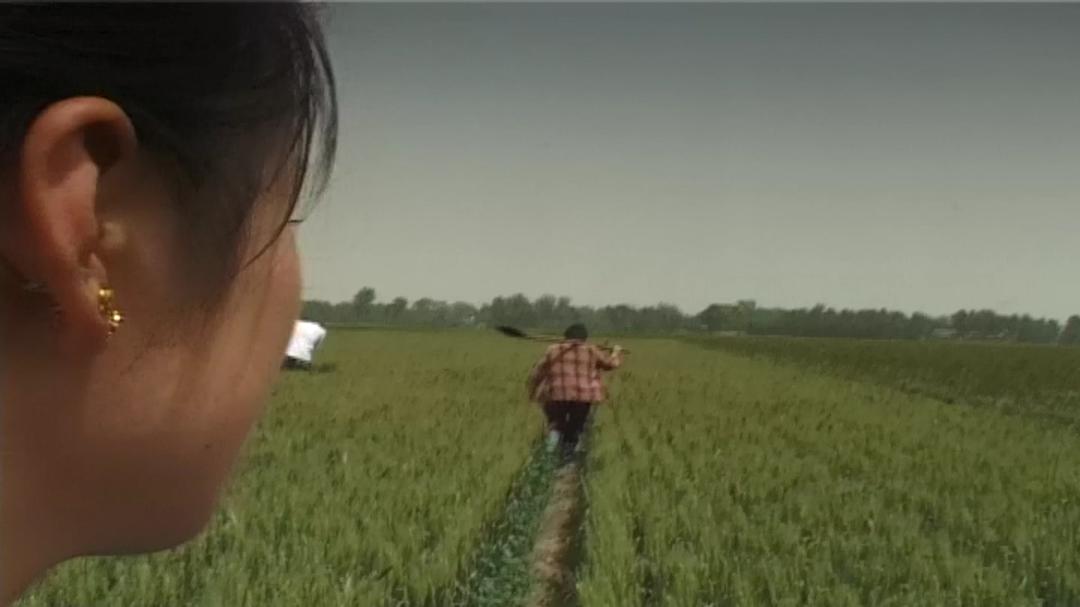 麦收
(2008)的剧照 麦收
(2008)的剧照