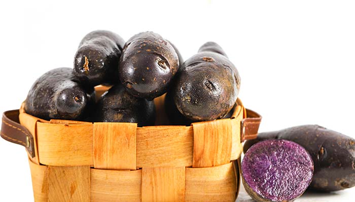 黑土豆1.jpg 黑土豆1.jpg